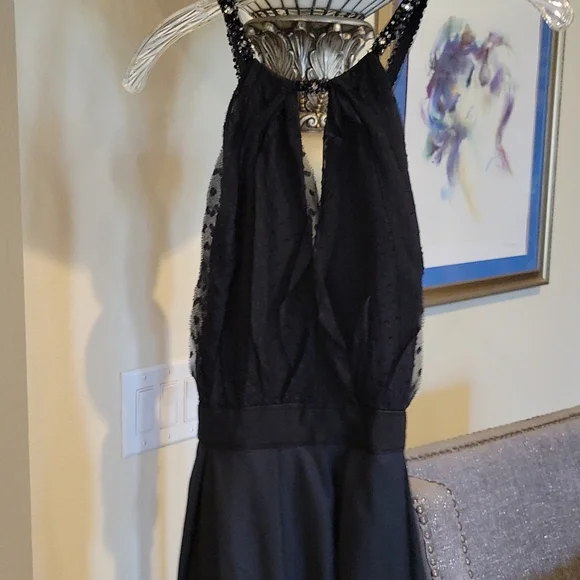 bcbg silk chiffon dress Ruffle Halter Chiffon Gown